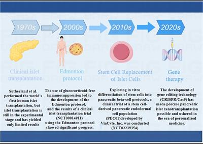 Pancreatic islet transplantation: current advances and challenges